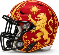 Solar Lion helmet