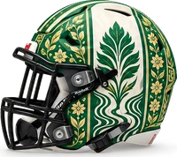 Nigeria helmet