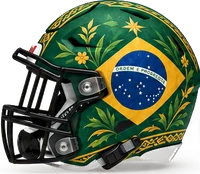 Brazil helmet